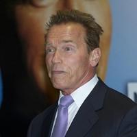 Arnold Schwarzenegger attends the Arnold Classic Europe 2011 party | Picture 97479